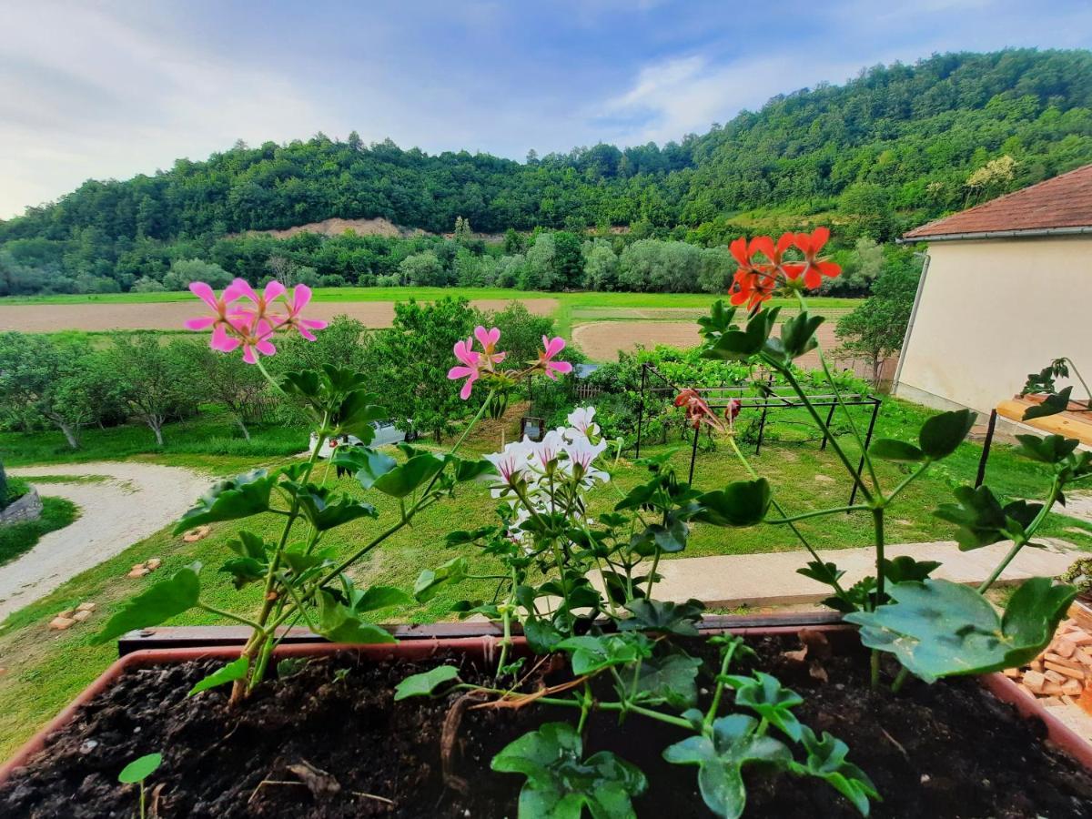 Vila Kuca Za Odmor Ceif Dropci Exteriér fotografie